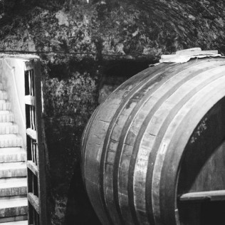 Vista a Bodega Subterránea con Cata de Vinos en Bodega Remigio Salas (Dueñas, Palencia)