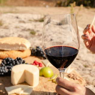 Visita a Bodega y Viñedos en 4x4 con Cata de Vino y Aperitivo para dos (Pesquera de Duero, Valladolid)