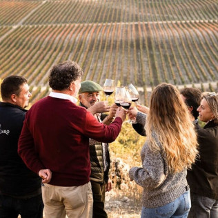 Visita a Bodega y Viñedos en 4x4 con Cata de Vino y Aperitivo para dos (Pesquera de Duero, Valladolid)