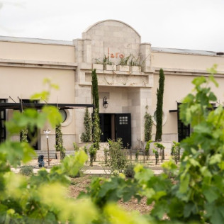 Visita a Bodega y Viñedos en 4x4 con Cata de Vino y Aperitivo para dos (Pesquera de Duero, Valladolid)