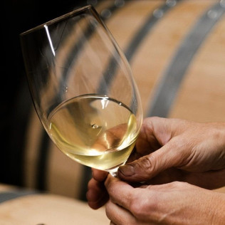 Visita a Bodega y Viñedos en 4x4 con Cata de Vino y Aperitivo para dos (Pesquera de Duero, Valladolid)