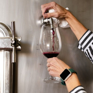 Visita a Bodega y Viñedos en 4x4 con Cata de Vino y Aperitivo para dos (Pesquera de Duero, Valladolid)