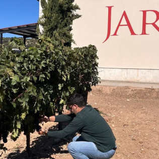 Visita a Bodega y Viñedos en 4x4 con Cata de Vino y Aperitivo para dos (Pesquera de Duero, Valladolid)