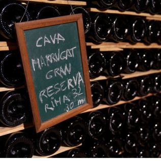 Sílice 501: Visita a la Bodega Histórica Pinord Vilafranca con Cata de Vino y Maridaje para dos (Vilafranca del Penedés, Barcelona)