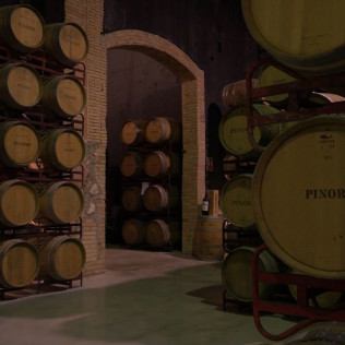 Sílice 501: Visita a la Bodega Histórica Pinord Vilafranca con Cata de Vino y Maridaje para dos (Vilafranca del Penedés, Barcelona)