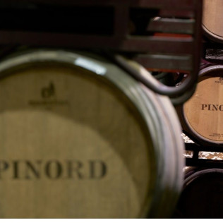 Sílice 501: Visita a la Bodega Histórica Pinord Vilafranca con Cata de Vino y Maridaje para dos (Vilafranca del Penedés, Barcelona)