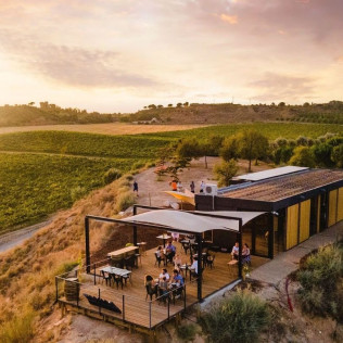 Visita Guiada y Cata de 5 Vinos con Maridaje de Quesos Artesanos para dos en Bodegas Raimat (Lleida)