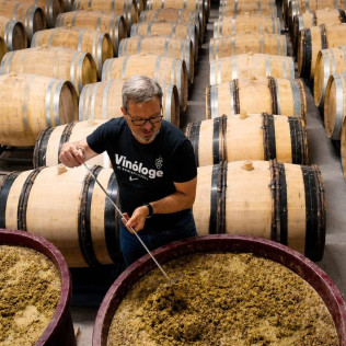 Escapada con Visita a Bodega y Cata de Vinos en Bodegas Rodríguez y Sanzo (Rueda, Valladolid)