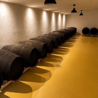 Escapada con Visita a Bodega y Cata de Vinos en Bodegas Rodríguez y Sanzo (Rueda, Valladolid)