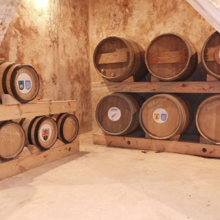Visita Guiada a Viñedos y Bodegas Besalduch Valls & Bellmunt con Cata de Vinos y Menú (Sant Mateu, Castellón)