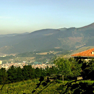 Visita a Bodega Txakoli Beldui con Cata de Vinos para dos (Llodio, Álava)