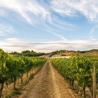 Wine Tour 360º: Visita a Bodega y Cata de Vino en Val Azul (Chinchón, Madrid)