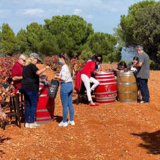Visita a Bodega Vega Tolosa con Cata de Vinos y Aceites y Aperitivo para dos (Casas Ibáñez, Albacete)