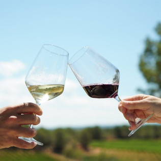 Visita a Bodega LoAlto con Cata de Vinos para dos (Venta del Moro, Valencia)