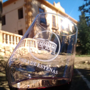 Visita a Viñedos y Bodega Vera de Estenas con Cata de 3 Vinos y Degustación de Aperitivos para dos (Utiel, Valencia)