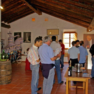 Visita a Viñedos y Bodega Vera de Estenas con Cata de 3 Vinos y Degustación de Aperitivos para dos (Utiel, Valencia)