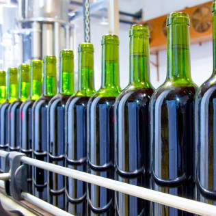 Visita a Viñedos y Bodega Vera de Estenas con Cata de 3 Vinos y Degustación de Aperitivos para dos (Utiel, Valencia)