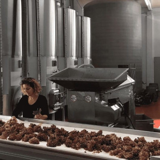 Visita a la Bodega Vives Ambròs con Cata Premium de Cavas y Vinos para dos (Montferri, Tarragona)