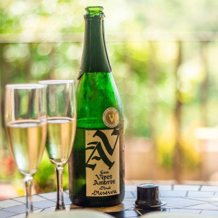Visita a la Bodega Vives Ambròs con Cata Premium de Cavas y Vinos para dos (Montferri, Tarragona)