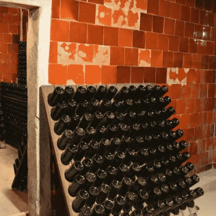 Visita a la Bodega Vives Ambròs con Cata Premium de Cavas y Vinos para dos (Montferri, Tarragona)