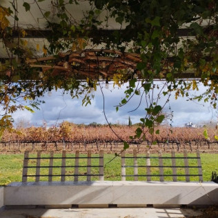 Visita y Cata de Vino Premium en Bodega y Viñedos Martín Berdugo (Aranda de Duero, Burgos)