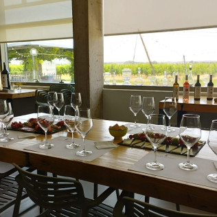 Visita y Cata de Vino Premium en Bodega y Viñedos Martín Berdugo (Aranda de Duero, Burgos)