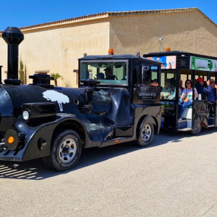 Visita Guiada a Bodegas Santa Margarita, Viñedos en Tren Turístico y Yeguada con Cata de Vinos para dos (Caudete, Albacete)