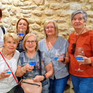 Visita Guiada a Bodegas Santa Margarita, Viñedos en Tren Turístico y Yeguada con Cata de Vinos para dos (Caudete, Albacete)