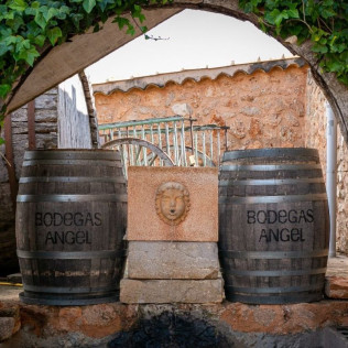 Tour, Cata y Paella: Visita con Cata y Menú Va d’Arros by Kike Martí para dos en Bodegas Ángel (Santa María del Camí, Mallorca)