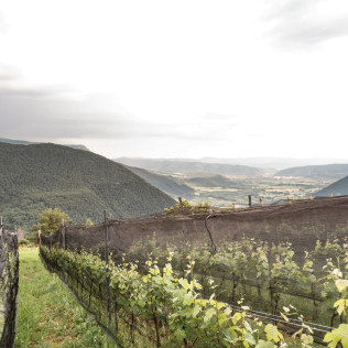 Visita a Bodegas Bal Minuta y Cata de Vinos para dos (Huesca)