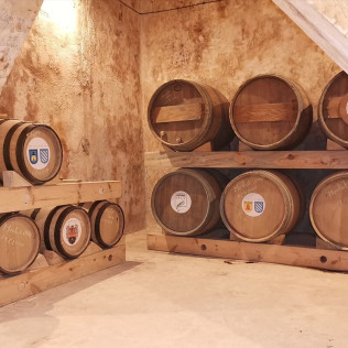 Visita a Bodegas Besalduch Valls & Bellmunt y Museo del Vino con Degustación de Vinos para dos (Sant Mateu, Castellón)