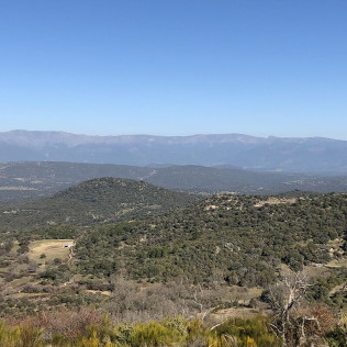 Visita guiada a Bodegas Canopy y Cata de Vinos con Aperitivo para dos (Camarena, Toledo)