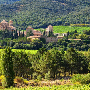 Visita Guiada en Bodegas Clos Montblanc con Cata de Vinos para dos (Tarragona)