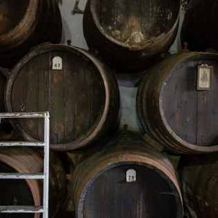 Cata de Vinos y Aceites para dos en Bodegas Ruiz Canela (Lucena, Córdoba)