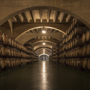 Corral Experience: Visita a Bodegas Corral y a Viñedos con Cata de Vinos y Aperitivo (Navarrete, La Rioja)