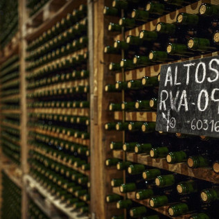 Corral Experience: Visita a Bodegas Corral y a Viñedos con Cata de Vinos y Aperitivo (Navarrete, La Rioja)