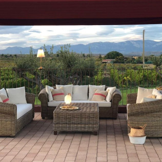 Corral Experience: Visita a Bodegas Corral y a Viñedos con Cata de Vinos y Aperitivo (Navarrete, La Rioja)