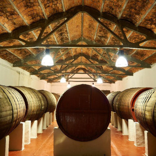 Visita a Bodega Subterránea con Cata de Vinos y Quesos o Dulces Artesanos para dos en Bodegas de Alberto (Valladolid)