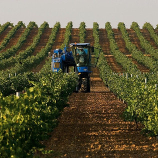 Visita a Bodega Subterránea con Cata de Vinos y Quesos o Dulces Artesanos para dos en Bodegas de Alberto (Valladolid)