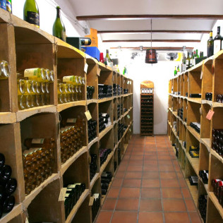 Visita Enoturística a DO Pla de Bages y Comida para dos en restaurante Mas de la Sala (Barcelona)