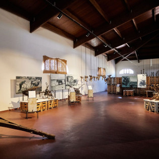 Visita a Bodegas Fariña y Exposición de Pintura con Cata de Vinos y Aperitivo para dos (Casaseca de las Chanas, Zamora)