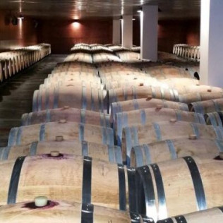 Visita a Bodegas Habla y Cata de Vino (Trujillo, Cáceres)