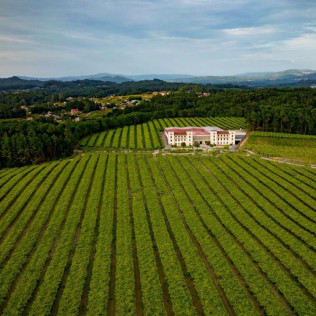 Visita a Bodegas La Val con Cata (A Muguiña, Pontevedra)