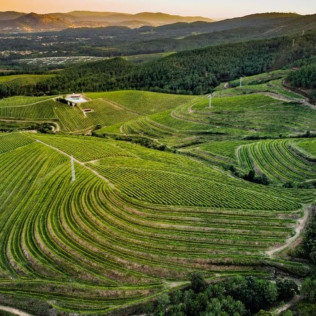 Visita a Bodegas La Val con Cata (A Muguiña, Pontevedra)