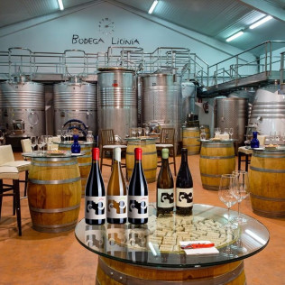 Visita a Bodega y Cata de Vinos para dos en Bodegas Licina (Morata de Tajuña, Madrid)