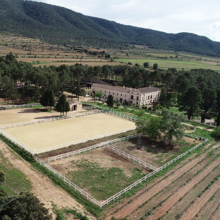 Visita a las Bodegas Los Pinos con Cata y Botella de Vino para dos (Fontanares, Valencia)