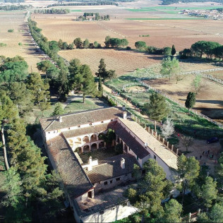 Visita a las Bodegas Los Pinos con Cata y Botella de Vino para dos (Fontanares, Valencia)