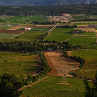 Visita a las Bodegas Los Pinos con Cata y Botella de Vino para dos (Fontanares, Valencia)