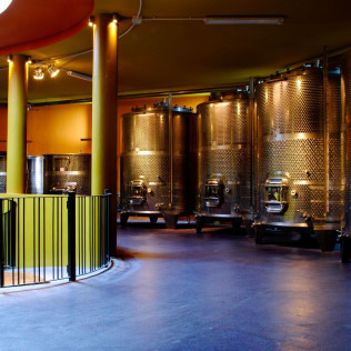 Visita a las Bodegas Monje con Cata de 4 Vinos y 4 Quesos Canarios (El Sauzal, Tenerife)