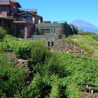 Visita a las Bodegas Monje con Cata y Aperitivo para dos (El Sauzal, Tenerife)
